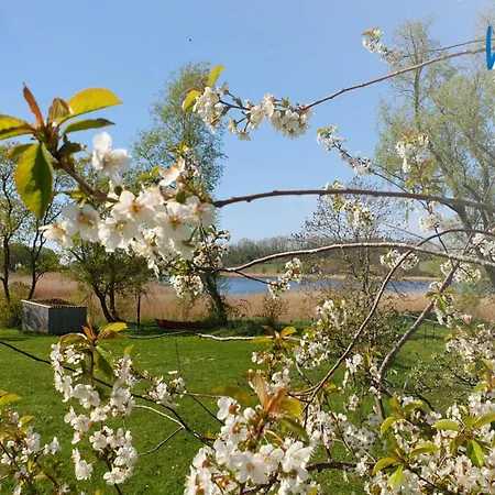 Lejlighed Am Neuensiener 23 Sellin (Usedom)